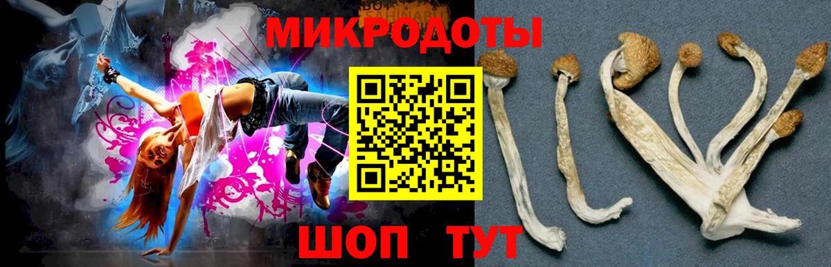 Гудермес  где можно купить   Вход с VPN  Псилоцибиновые грибы Cubensis  Псилоцибиновые грибы ЛСД 